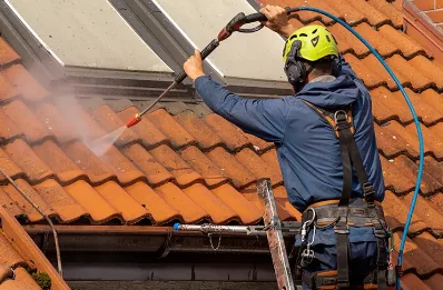 Démoussage et hydrofuge de toiture à Pisieu