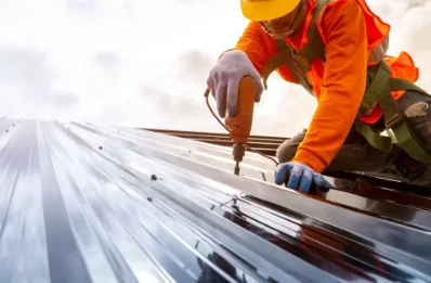 Travaux de zinguerie à Pisieu
